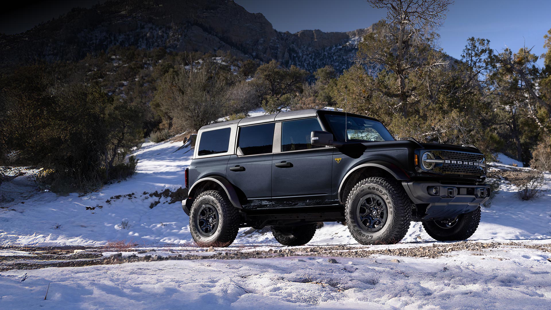 SUV Ford Bronco Badlands