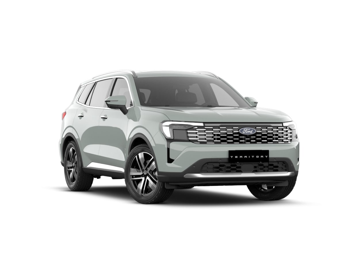 Ford Territory Gris Jet