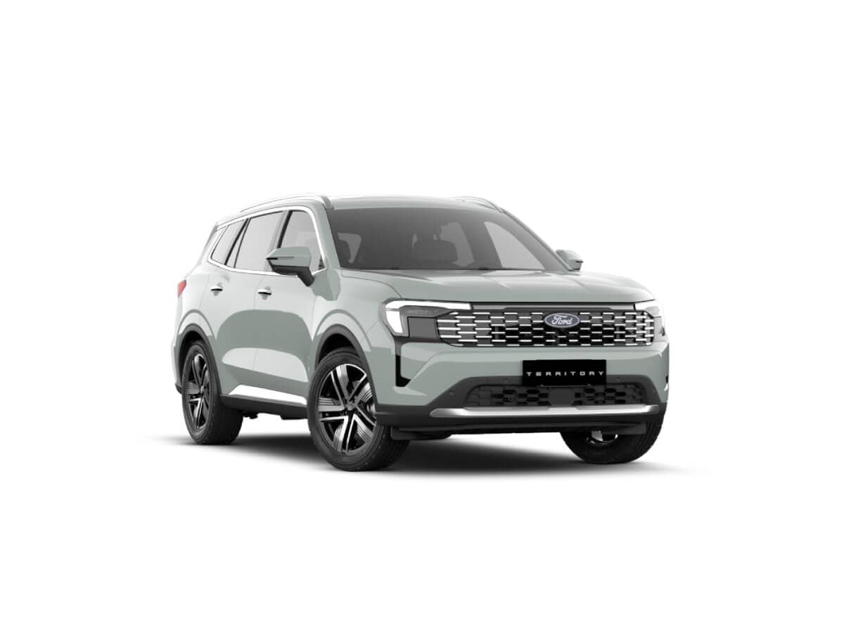 Ford Territory Gris Jet