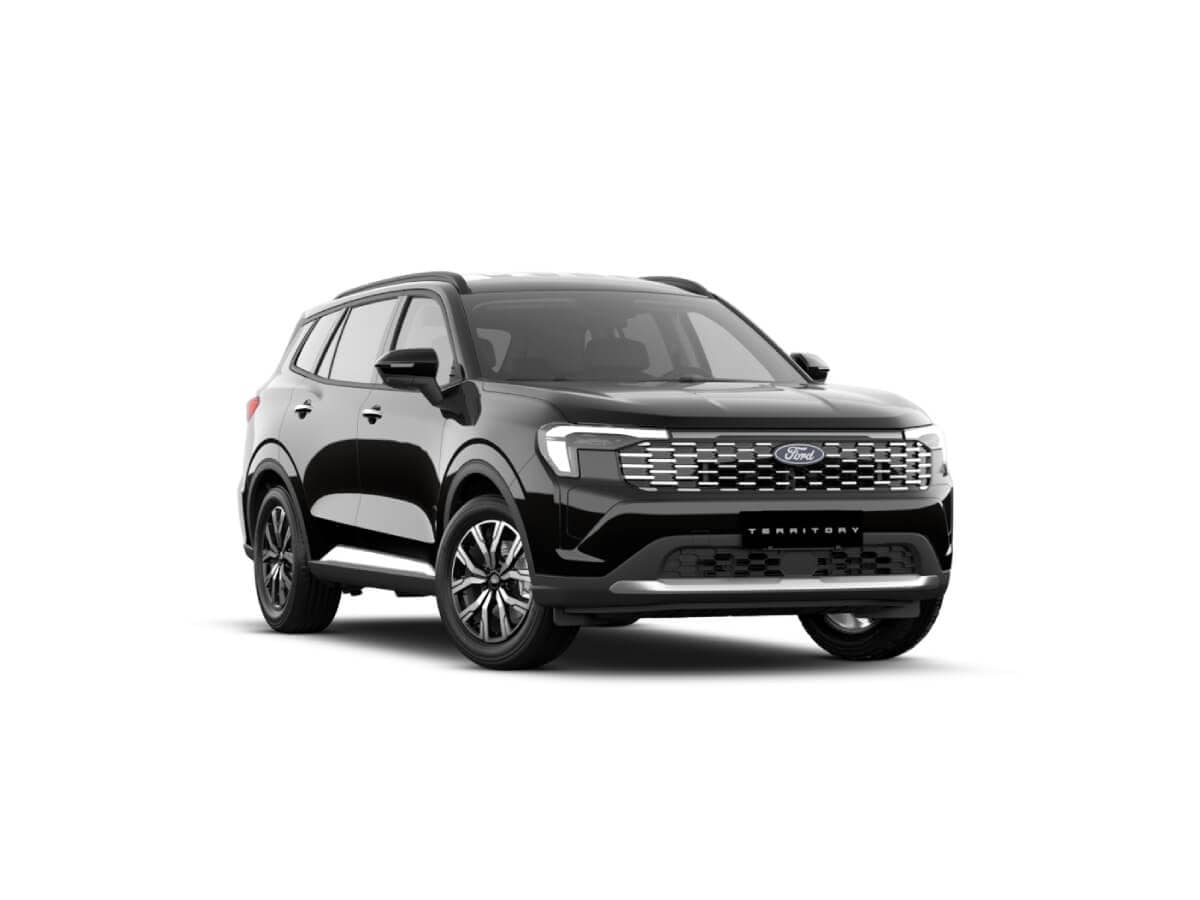 Ford Territory Negro Pantera
