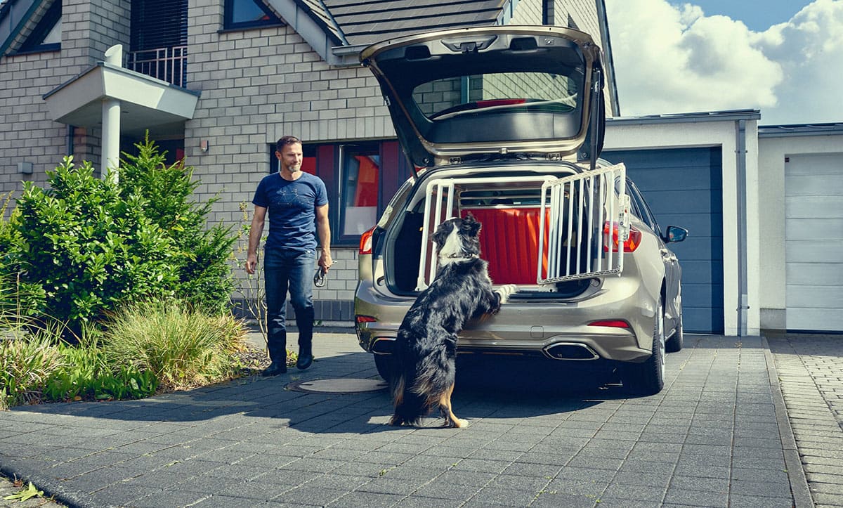 El perro de un ingeniero de Ford ayudó en el diseño de un nuevo modelo de la marca