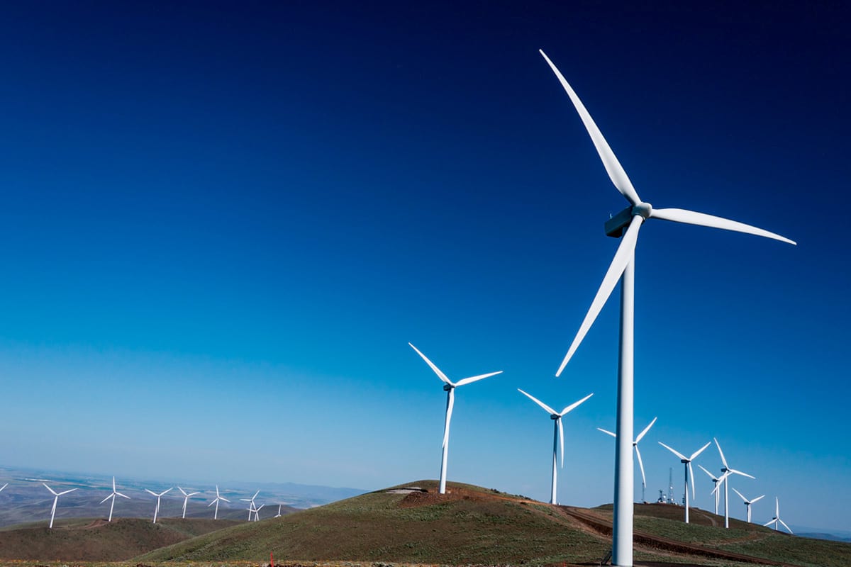 Día del Mundial del Medio Ambiente