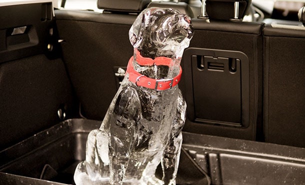 Tecnología Ford previene que niños queden atrapados en un vehículo