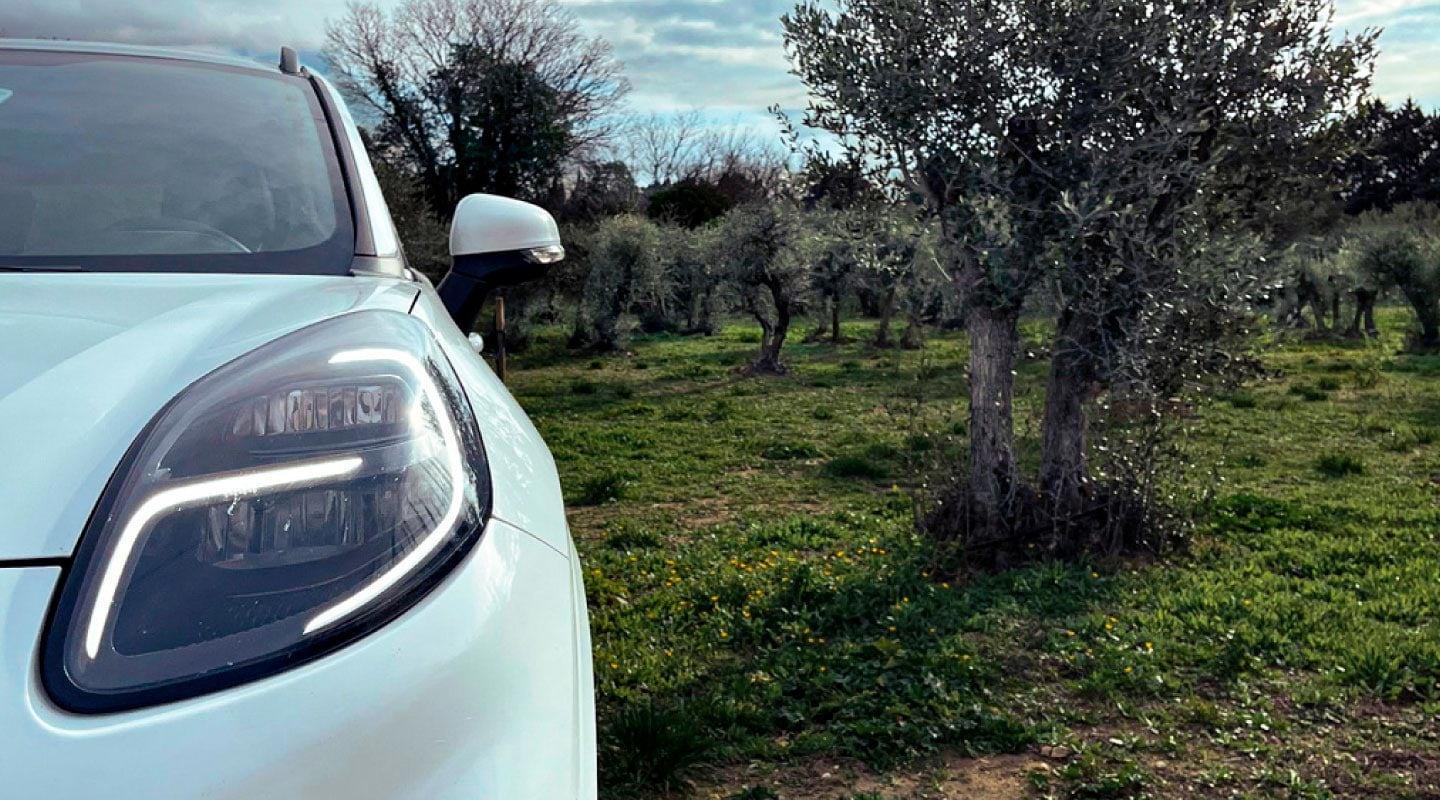 Algunas partes de tu futuro vehículo podrían estar hechas de olivos