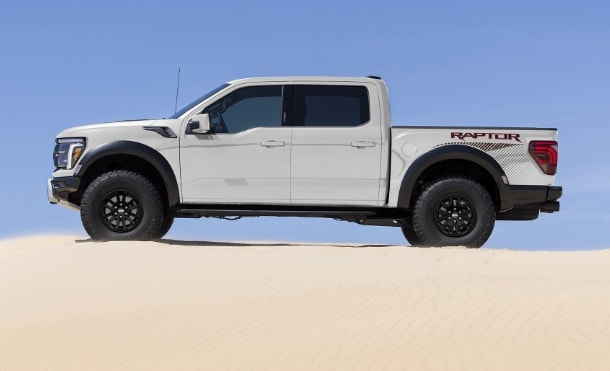 raptor