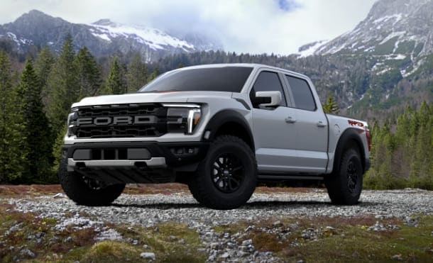 raptor
