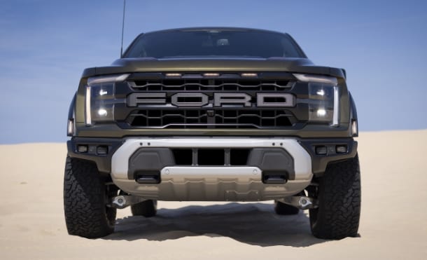raptor