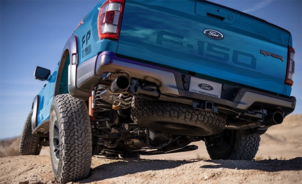 raptor