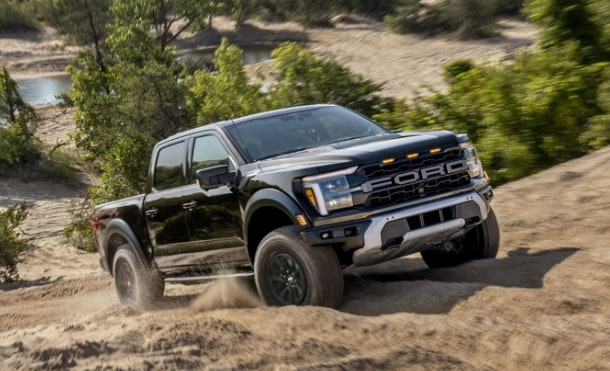 raptor