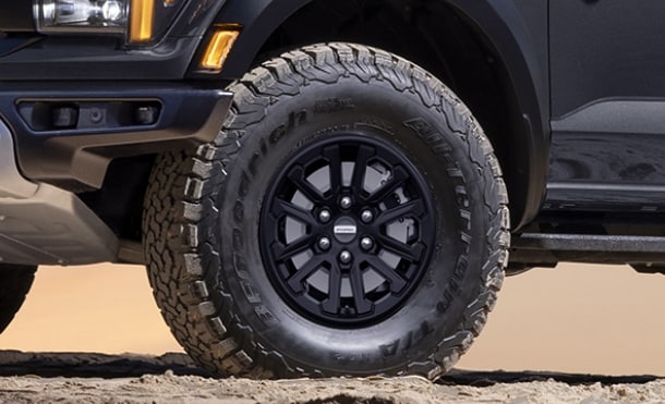 raptor